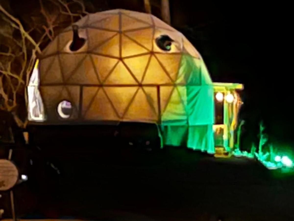 Hotel Waterfront Luxury Glamping Dome Rogersville Zewnętrze zdjęcie