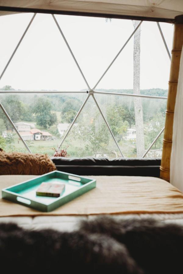 Hotel Waterfront Luxury Glamping Dome Rogersville Zewnętrze zdjęcie