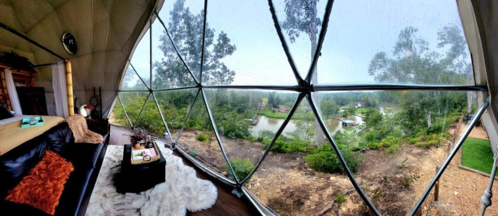 Hotel Waterfront Luxury Glamping Dome Rogersville Zewnętrze zdjęcie
