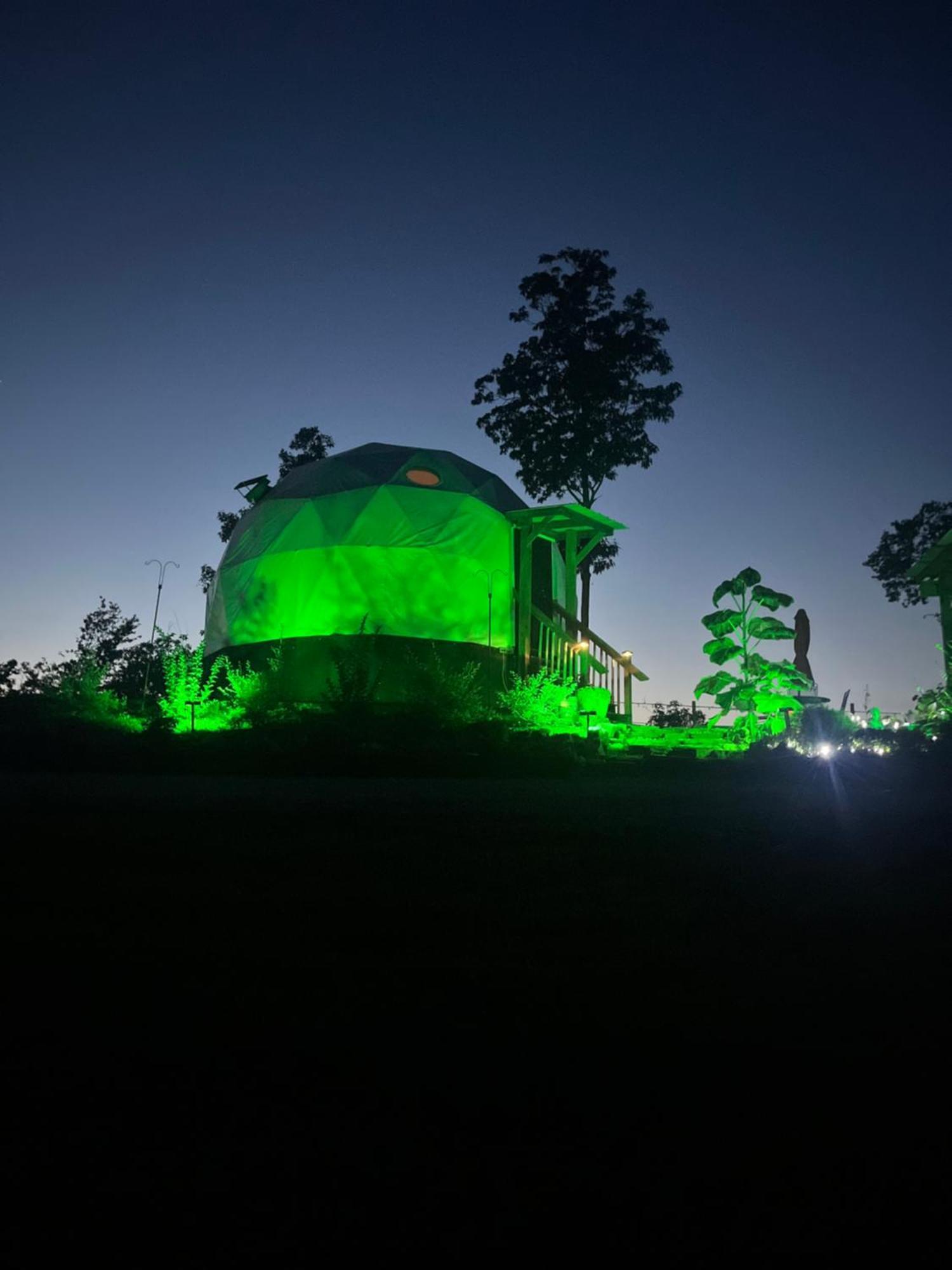 Hotel Waterfront Luxury Glamping Dome Rogersville Zewnętrze zdjęcie